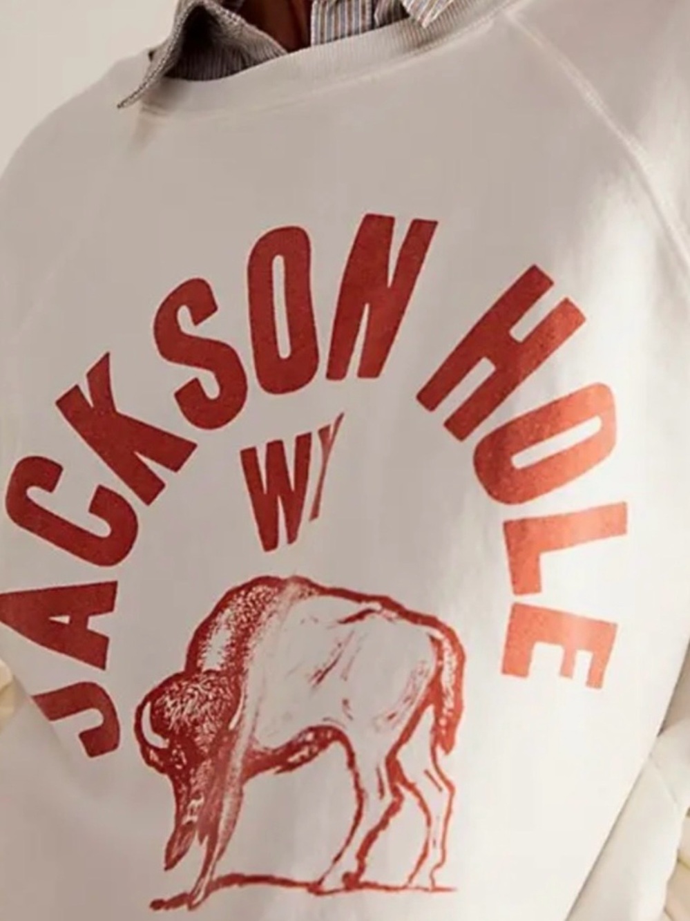 Retro Brand sweatshirt Jackson Hole WY Bison from Free People